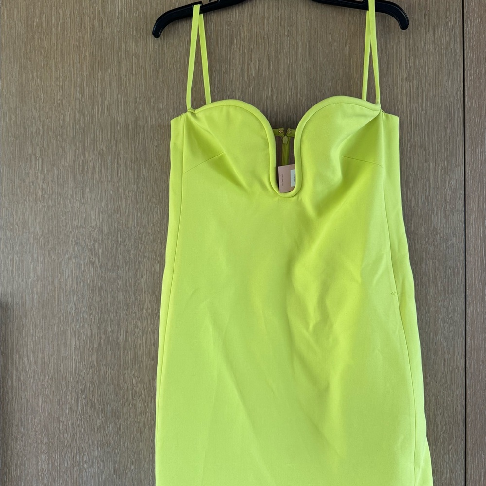 Alexis “brant mini dress”